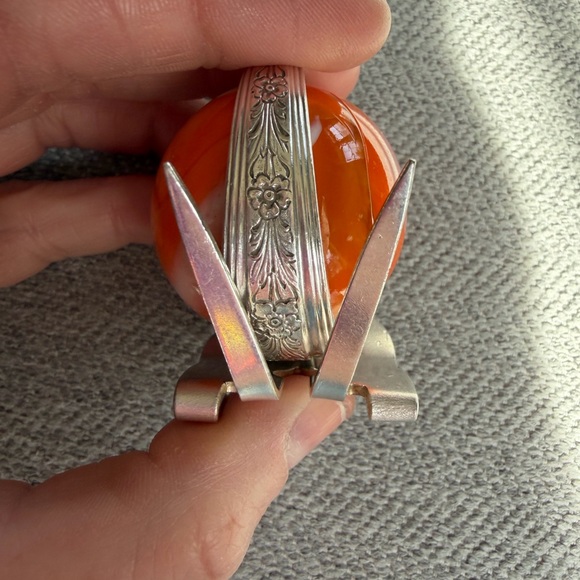 Marble Fork Snail - Picture 4 of 8